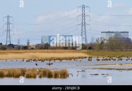 Steart Marshes, WWT Reserve, überflutet bei Flut, mit Hinkley Point Kernkraftwerk im Hintergrund, Somerset, Großbritannien, April 2016. Stockfoto