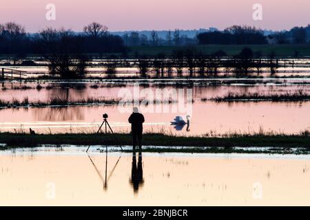 Fotograf in der Dämmerung warten auf perfekte Aufnahme unter gefluteten Feldern in der Nähe von Burrowbridge, Somerset Levels, Somerset, Großbritannien, Februar. Stockfoto