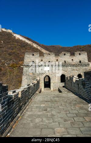 Die Große Mauer schlängelt seinen Weg über die Hügel. Mutianyu Abschnitt, Peking, China. Stockfoto