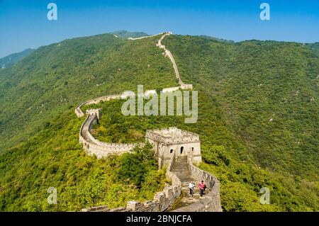 Die Große Mauer schlängelt seinen Weg über die Hügel. Mutianyu Abschnitt, Peking, China. Stockfoto