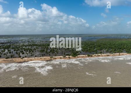 Luftaufnahme von Shell Beach, nördlich von Guyana, Südamerika Stockfoto