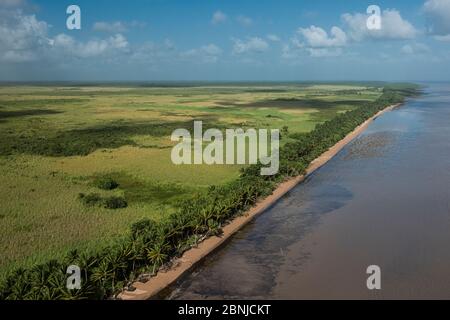 Luftaufnahme von Shell Beach, nördlich von Guyana, Südamerika Stockfoto