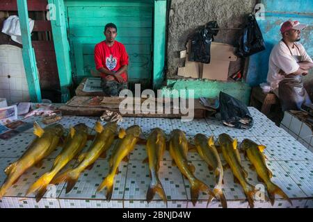 Welse, verschiedene Arten, zum Verkauf auf dem Markt in Georgetown, Guyana, Südamerika Stockfoto