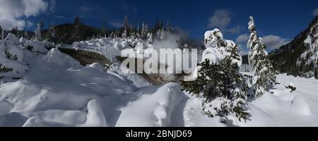 Beryl Spring, Yellowstone National Park, Wyoming, Vereinigte Staaten von Amerika, Nordamerika Stockfoto