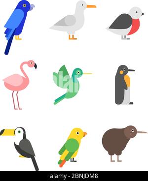 Exotische Vögel im flachen Stil. Stilisierte Bilder gesetzt Stock Vektor