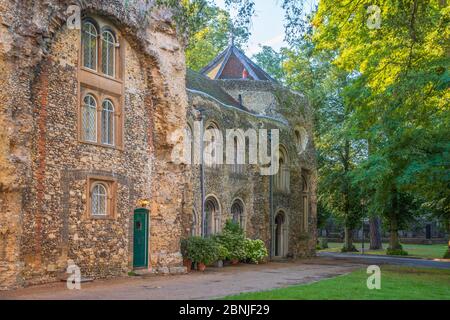 Häuser in der Westfront der zerstörten Abbey Church, Bury St. Edmunds, Suffolk, England, Vereinigtes Königreich, Europa Stockfoto