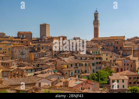 Blick auf die Skyline der Stadt, einschließlich des Campanile des Palazzo Comunale, Siena, Toskana, Italien, Europa Stockfoto