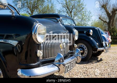 Eine Stoßfängeraufnahme einer Reihe von Oldtimern, die an einem sonnigen Tag in der Sonne glitzern Stockfoto