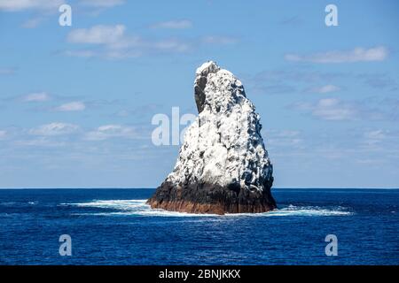 Roca Partida, eine kleine Rock Island in weißen Vogel Guano in der Revillagigedo Archipel Biosphärenreservat, Socorro Inseln, Western Mexiko abgedeckt Stockfoto