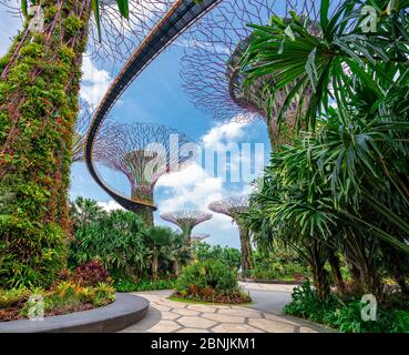 Garten an der Bucht ohne irgendjemanden in Singapur Stockfoto