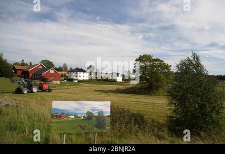 Jahreszeiten wechseln, Sommerbild / Fotografie in Herbstlandschaft verfärbt, 'der Lauf der Zeit' von Artist Pal Hermansen. Valer, Ostfold County, Norw Stockfoto