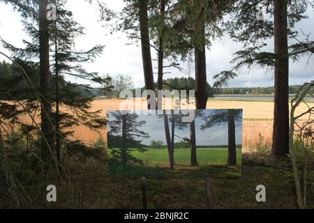 Wechselnde Jahreszeiten, Sommerbild / Foto in der Herbstlandschaft, 'der Lauf der Zeit' des Künstlers Pal Hermansen. Valer, Ostfold County, Norwa Stockfoto