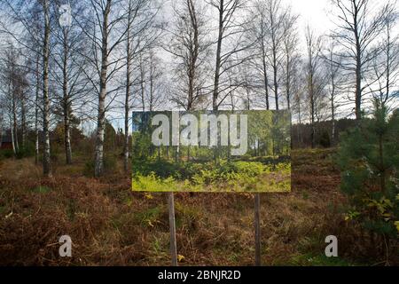 Jahreszeiten wechseln, Sommerbild / Fotografie in der Herbstlandschaft, 'der Lauf der Zeit' des Künstlers Pal Hermansen. Valer, Ostfold County, Norwegen. Oktober Stockfoto