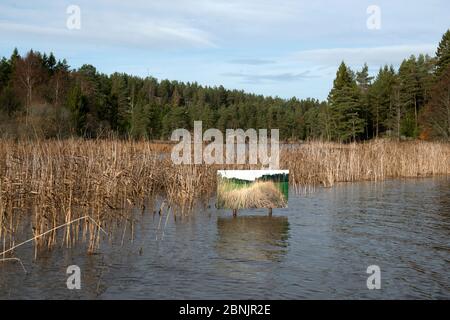 Wechselnde Jahreszeiten, Sommer Bild / Foto in Herbstlandschaft angezeigt. 'The Passender of Time' von Artist Pal Hermansen. Valer, Ostfold County, Norwa Stockfoto