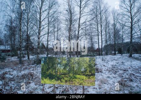 Sommerwald im Winter, Landschaft durch wechselnde Jahreszeiten - Foto von Pal Hermansen 'der Lauf der Zeit' der gleichen Szene im Sommer, Valer, Stockfoto