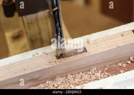 Schneiden von Mortises in Eiche auf einer Mortisiermaschine, Eiche mortise Stockfoto