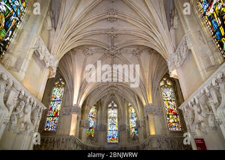 Deckendetail über dem Grab von Leonardo da Vinci, Chapelle Saint Hubert, Chateau Amboise, Loire-et-Indre, Centre, Frankreich Stockfoto