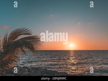 Extrem schöner Sonnenuntergang über dem Meer mit Palmen am Steinstrand in Vintage-Ton Stockfoto