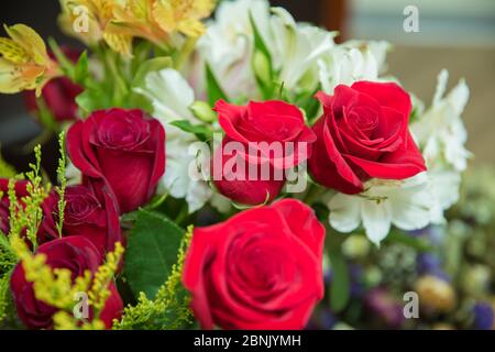 Valentinstag Hintergrund, Hochzeitstag. Blühende rote Rosen blühen über geschmundem Hexagon Bokeh Hintergrund. Stockfoto