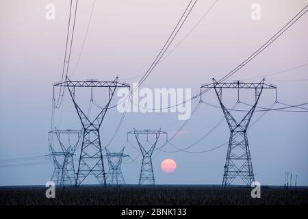 Powerlines in Marievale Bird Sanctuary at Dawn, Gauteng Province, Südafrika. August 2015. Stockfoto