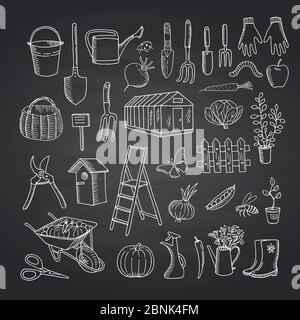 Vektor-Gartenarbeit Doodle-Symbole auf schwarzen Tafel Illustration Stock Vektor