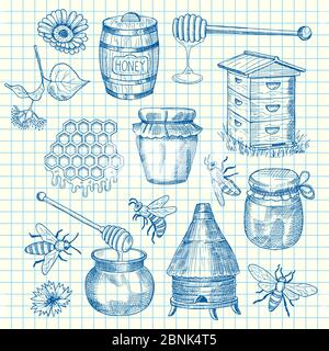 Vektor-Set von Hand gezeichneten Honig Elemente auf Zellblatt Illustration Stock Vektor