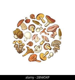 Vektor handgezeichnete Pilze in Kreisform Illustration Stock Vektor