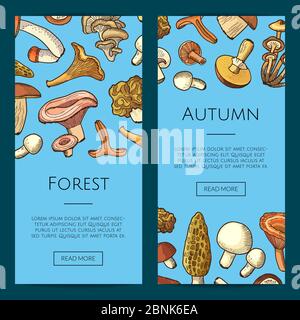 Vektor handgezeichnete Pilze Stock Vektor