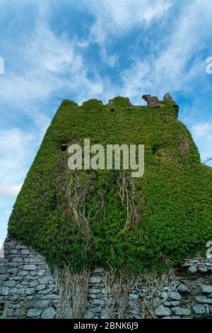 Ballycarbery Castle, Caherciveen, Ring of Kerry, County Kerry, Irland, Europa. September 2015. Stockfoto