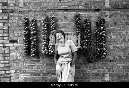 Germaine Greer, australische Schriftstellerin fotografiert in ihrem Haus bei Cambridge England 1992 Germaine Greer: (* 29. Januar 1939 in England) ist eine australische Schriftstellerin und Intellektuelle, die als eine der wichtigsten Stimmen der zweiten Welle der feministischen Bewegung in der späteren Hälfte des 20. Jahrhunderts gilt. Sie hat sich auf englische und Frauenliteratur spezialiert und war in England an der University of Warwick und dem Newnham College in Cambridge sowie in den USA an der University of Tulsa tätig. Seit 1964 lebt sie in Großbritannien und teilt ihre Zeit seit den 1990er Jahren zwischen Queensland, Australi Stockfoto