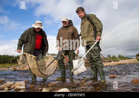 Spey Fishery Board Biologen Elektrofischen auf dem Fluss Dulnain zu Atlantic Lachs (Salmo Salar) zu vermessung braten und parr, Cairngorms National Park, Scot Stockfoto