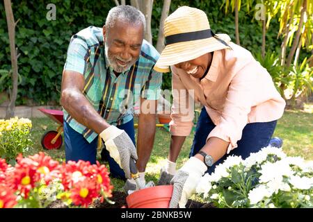 Ältere African American paar Pflanzen Blumen in ihrem Garten . Stockfoto