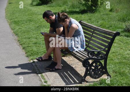 Paar überprüfen Handys im Park Stockfoto