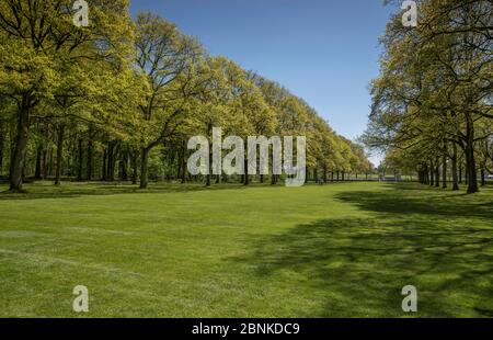 Waldland in die Gedenkstätte für Südafrikanische Soldaten, die ihr Leben in der Welt Krieg, Longueval, Somme, Picardie, Frankreich verloren, Mai 2016. Stockfoto