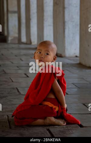 Buddhistische Mönchinnen In Myanmar Stockfoto