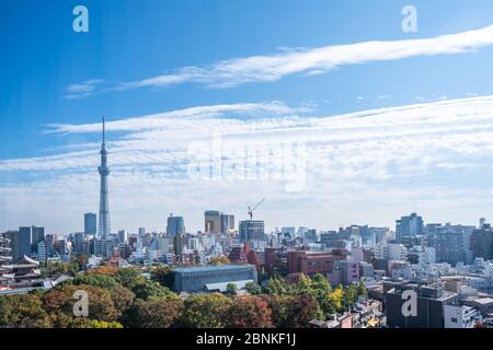 Tokyo skytree, Japan - November 14 2019, Szene mit Touristen in der Nakamise Einkaufsstraße im Sensoji Tempel, beliebte Plätze in Tokio. Stockfoto