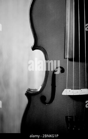 Fiddle 4 Strings Musikinstrument in voller Größe schwarz und weiß mit Holzhintergrund Stockfoto