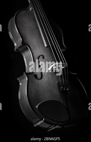 Fiddle 4 Saiten Musikinstrument Inspiration dunkle Fotografie mit schwarzem Hintergrund Stockfoto