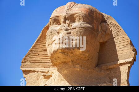Die Sphinx von Gizeh Stockfoto