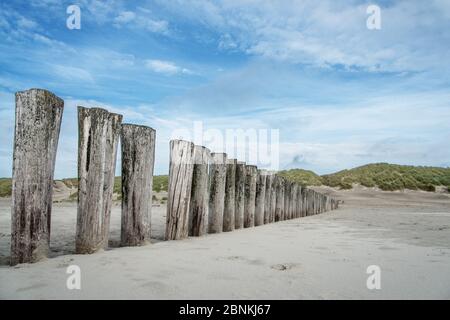 Wellenbrecher am Nordseestrand bei Renesse Stockfoto