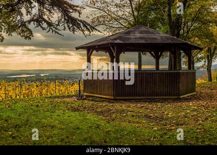 Schutzhütte auf Bubenhäuser Höhe, bei Rauenthal im Rheingau, mystische Lichtstimmung im Goldenen Oktober, Stockfoto