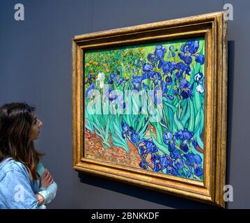 Frau, die das Gemälde "Irises" von Vincent van Gogh, das Getty Center Museum, Los Angeles, Kalifornien, USA, betrachtet Stockfoto