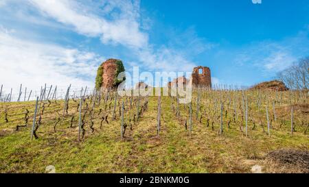 Castro Weitersheim, Burgruine Gutenburg, bei Gutenberg, Hügelburg mit Ringzwinger, Weingarten um den Burghügel, Stockfoto