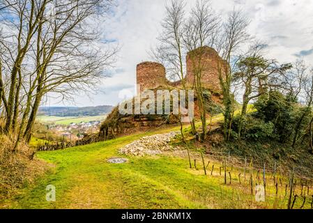 Castro Weitersheim, Burgruine Gutenburg, bei Gutenberg, Hügelburg mit Ringzwinger, Weingarten um den Burghügel, Stockfoto