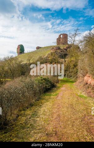 Castro Weitersheim, Burgruine Gutenburg, bei Gutenberg, Hügelburg mit Ringzwinger, Weingarten um den Burghügel, Stockfoto