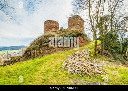 Castro Weitersheim, Burgruine Gutenburg, bei Gutenberg, Hügelburg mit Ringzwinger, Weingarten um den Burghügel, Stockfoto