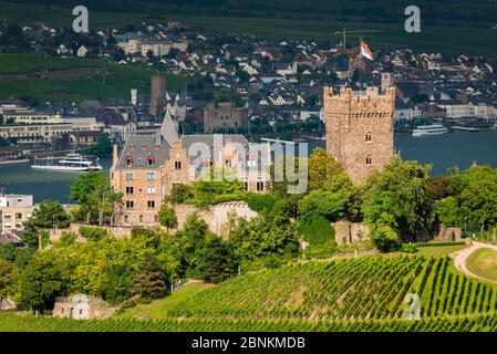 Schloss Klopp in Bingen am Rhein, neugotische Hügelburg mit markantem Bergwerk, Rheinromantik pur, UNESCO-Welterbe Oberes Mitelrheintal, im Hintergrund die Stadt Rüdesheim, Stockfoto