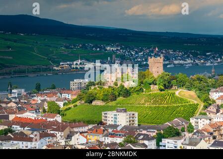 Schloss Klopp in Bingen am Rhein, neugotische Hügelburg mit markantem Bergwerk, Rheinromantik pur, UNESCO-Welterbe Oberes Mitelrheintal, im Hintergrund die Stadt Rüdesheim, Stockfoto