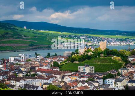 Schloss Klopp in Bingen am Rhein, neugotische Hügelburg mit markantem Bergwerk, Rheinromantik pur, UNESCO-Welterbe Oberes Mitelrheintal, im Hintergrund die Stadt Rüdesheim, Stockfoto