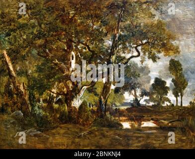 Wald von Fontainebleau, Anhöhe der Bäume mit Blick auf die Ebene von Clair-Bois am Rande von Bas-Bréau von Theodore Rousseau (1812-1867), Öl auf Leinwand, ca. 1849-52 Stockfoto